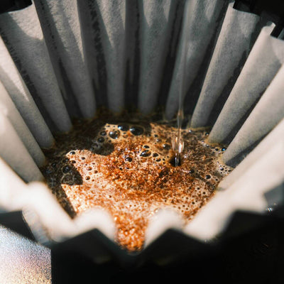 Filterkaffee Masterclass