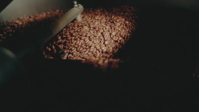 Rad Race Espresso